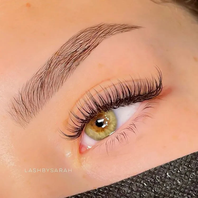 eyelash ogden