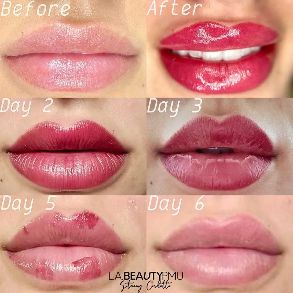 forbedre plyndringer Specificitet Lip Blush Aftercare - How to Get the Best Lip Tattoo Results