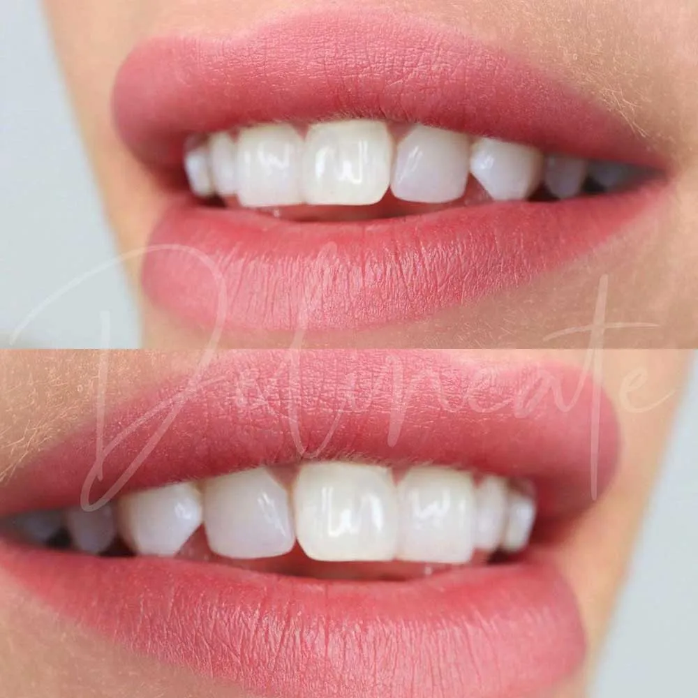 Permanent Lip Tattoo Colors For Lip Blushing Lipstick Color Match