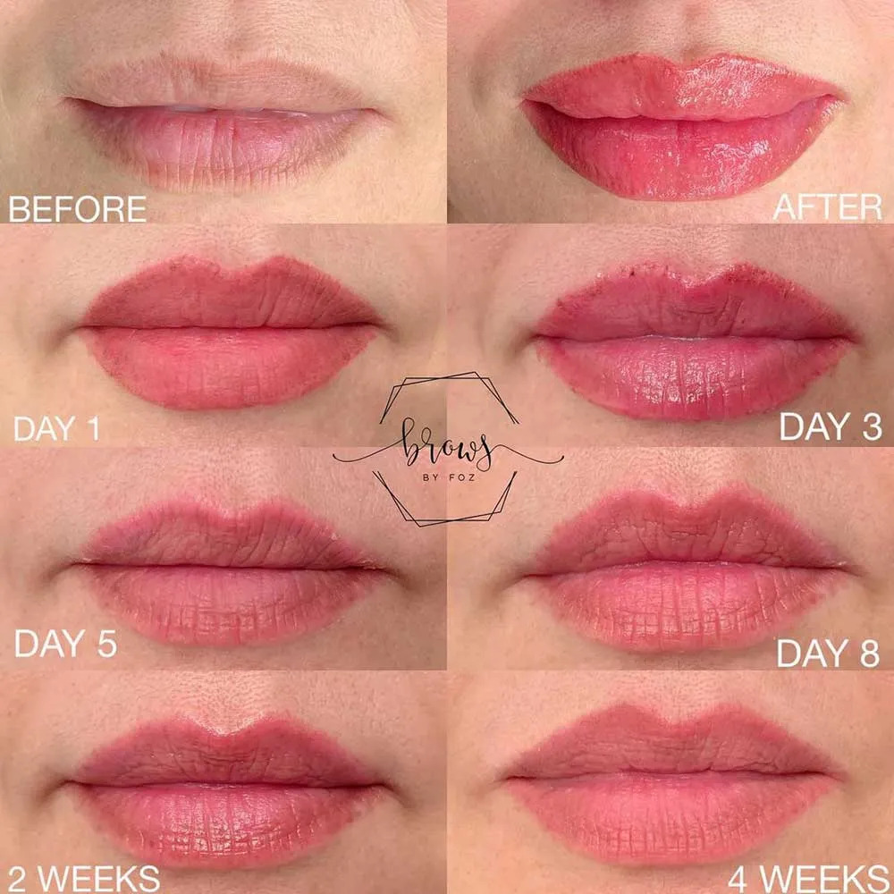 sol Ordliste afslappet Lip Blush Healing Process - Day by Day Timeline and Stages