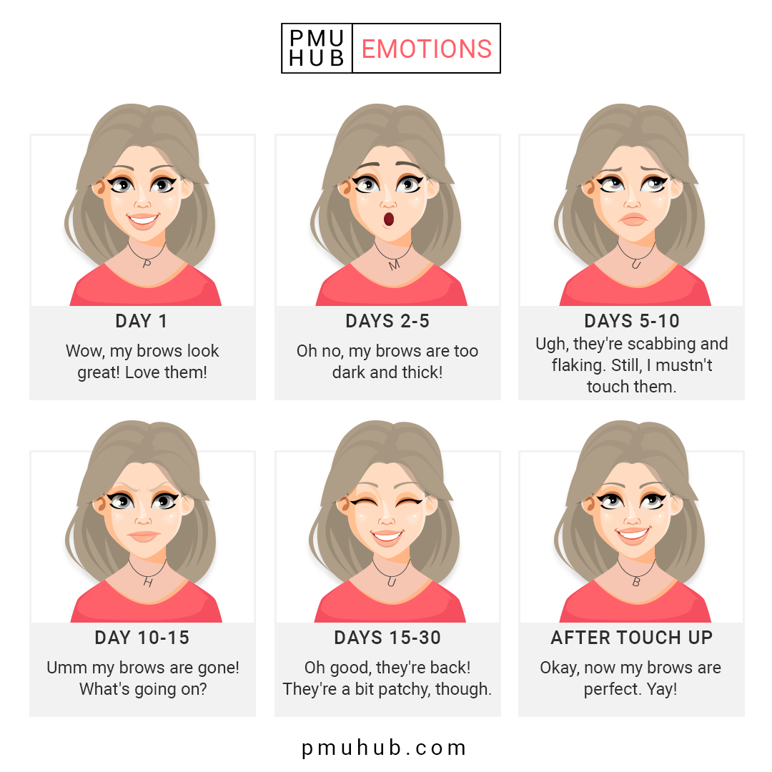 PMU Eyebrows Emotions Day By Day
