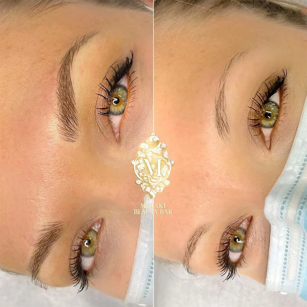 Nano Brows Before and After Gallery