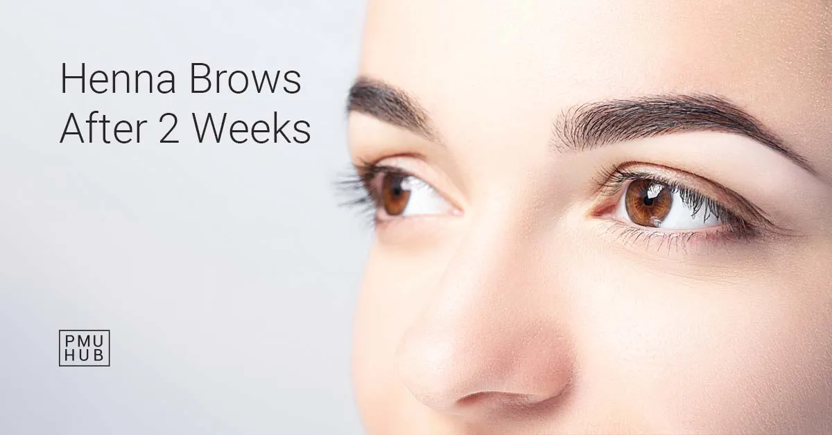 What Happens to Henna Brows After 2 Weeks? Hint - It Still Looks Good