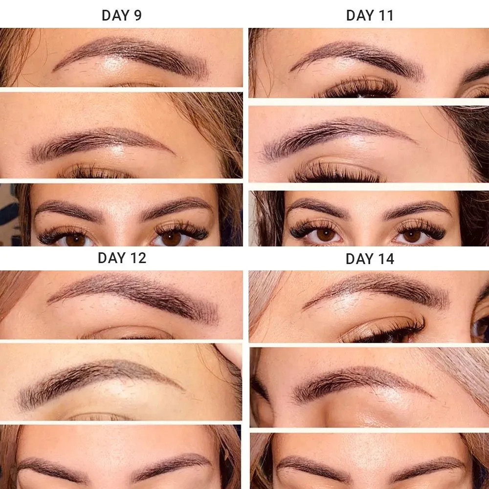 Stages of Combination Brows Healing Process - Scabbing Stage