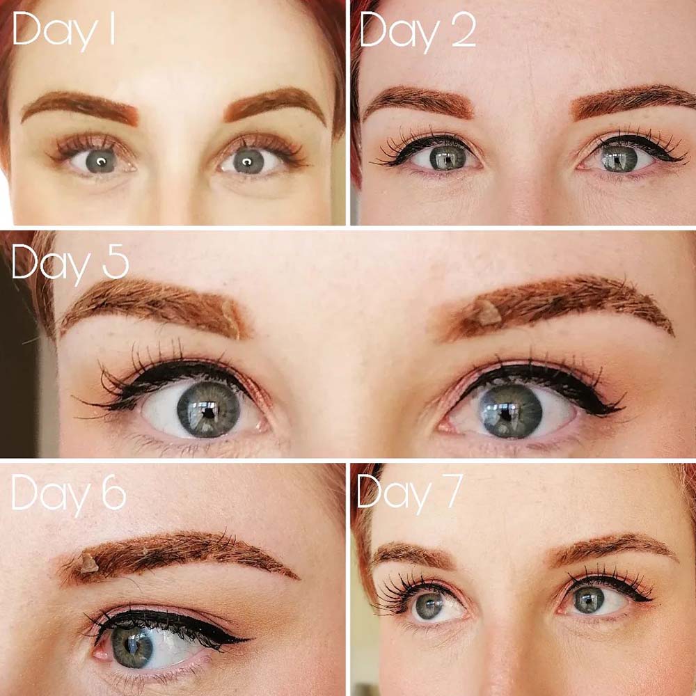 Ombre powder brows healing process