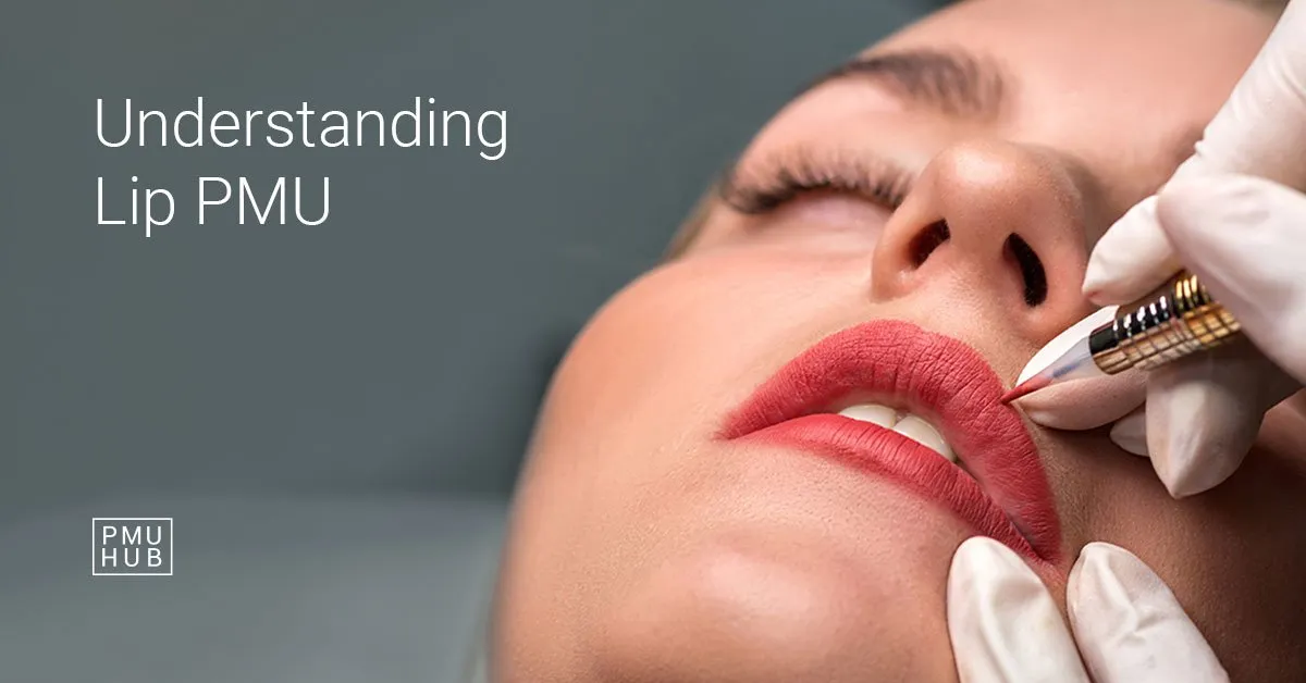lip shading technique
