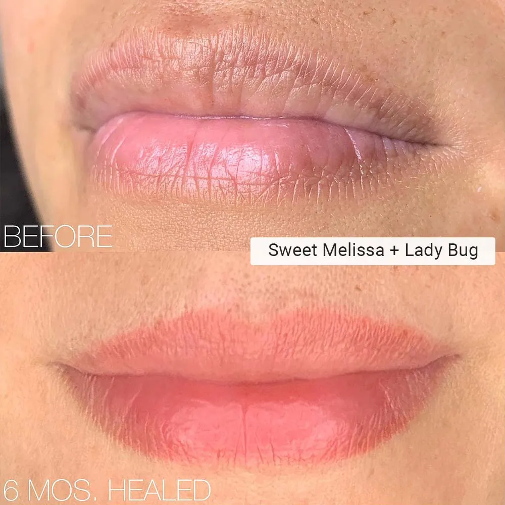 Perma blend sweet melissa healed + Perma Blend lady bug healed