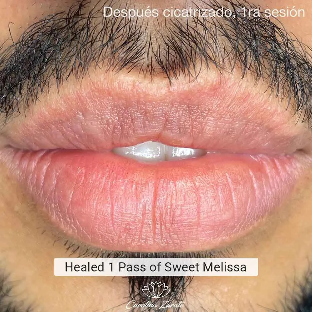 perma blend sweet melissa healed lip blush pigment