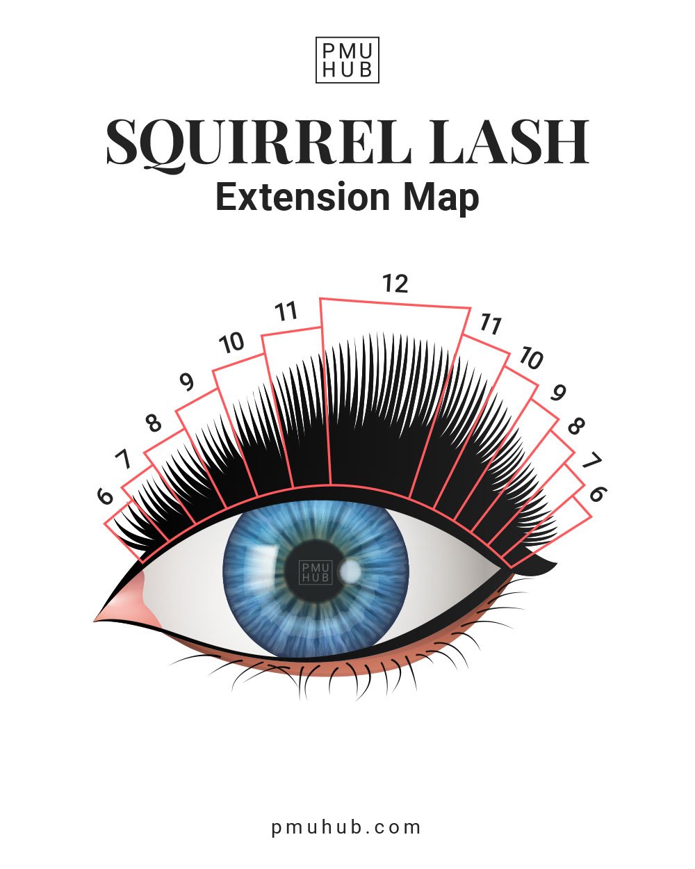 squirrel lash extension map - how are squirrel eyelash extensions done