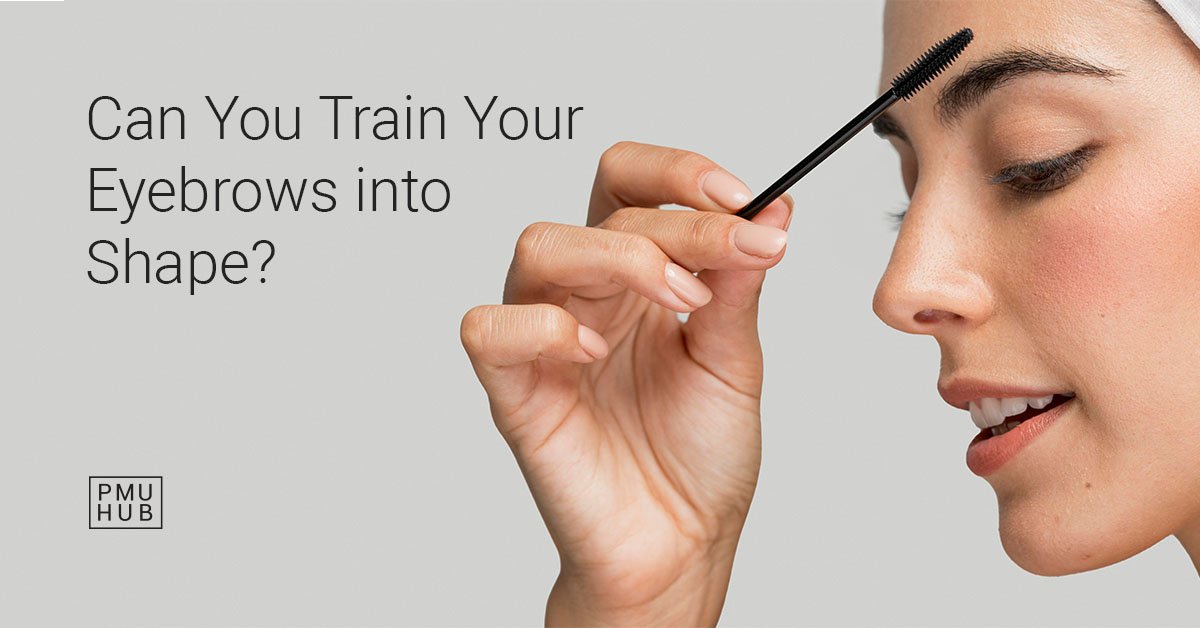 can you train your eyebrows into shape